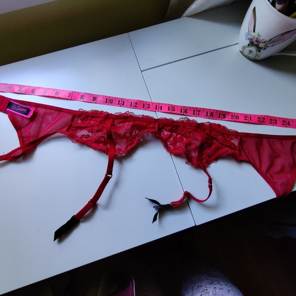 La Senza Garter Belts (NWOT) - Picture 3 of 8
